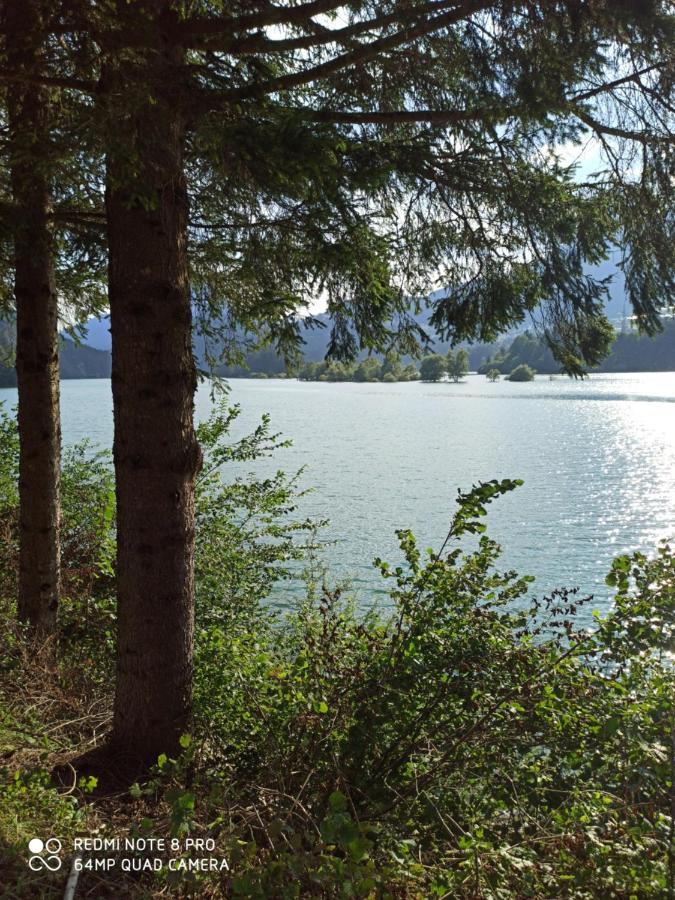 Villa Anna Domegge di Cadore Bagian luar foto